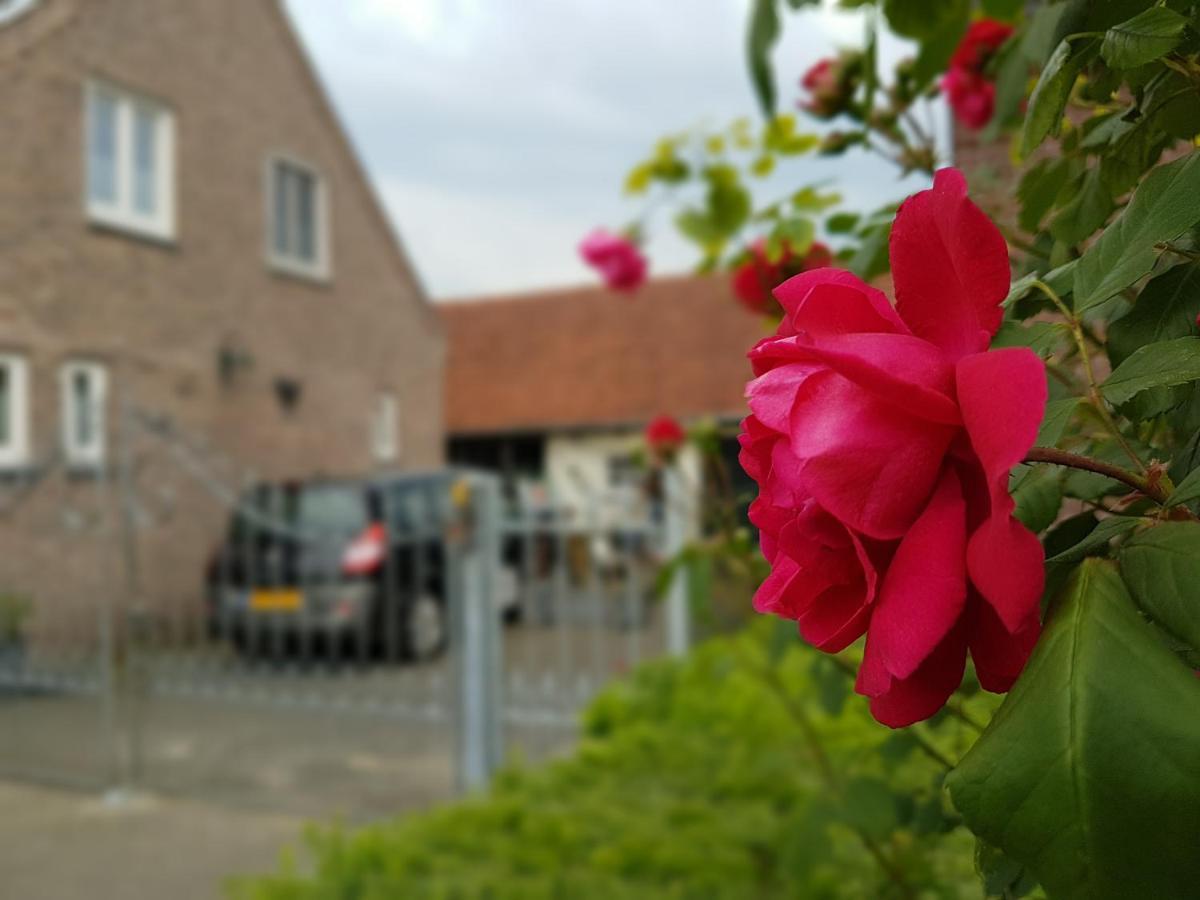 De Boerebeemd Panzió Lieshout Kültér fotó